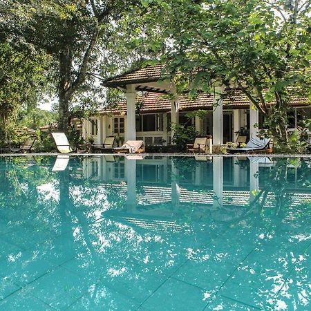 Plantation Villa Kalutara Eksteriør billede