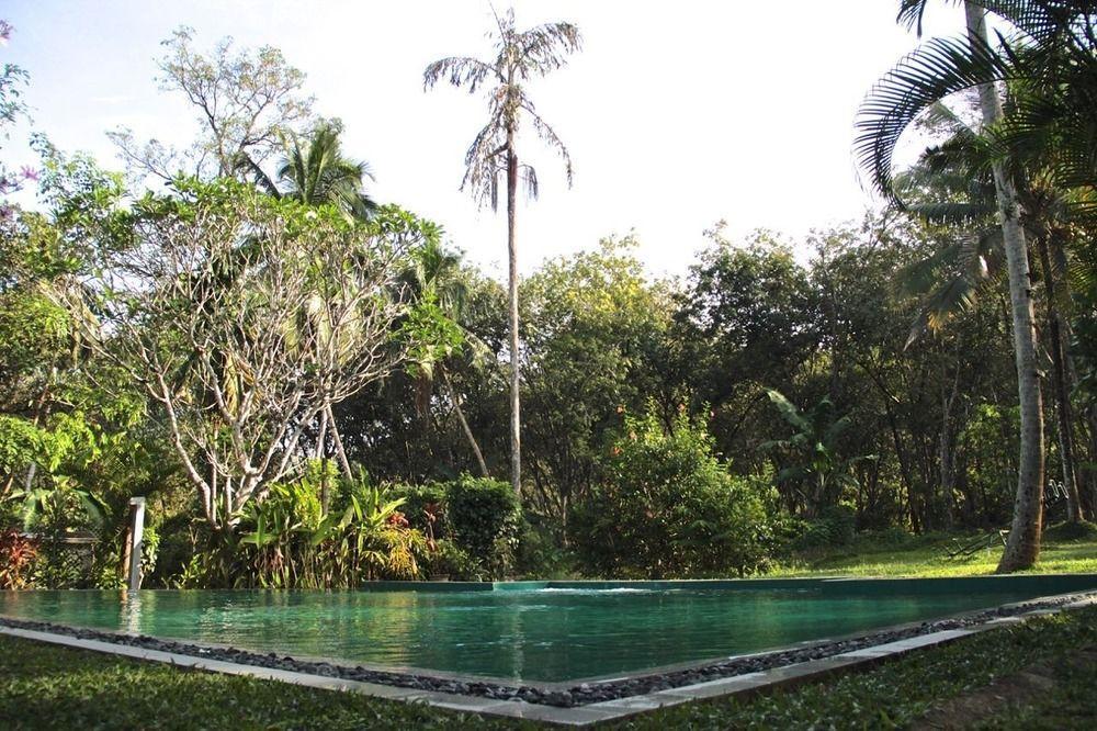 Plantation Villa Kalutara Eksteriør billede