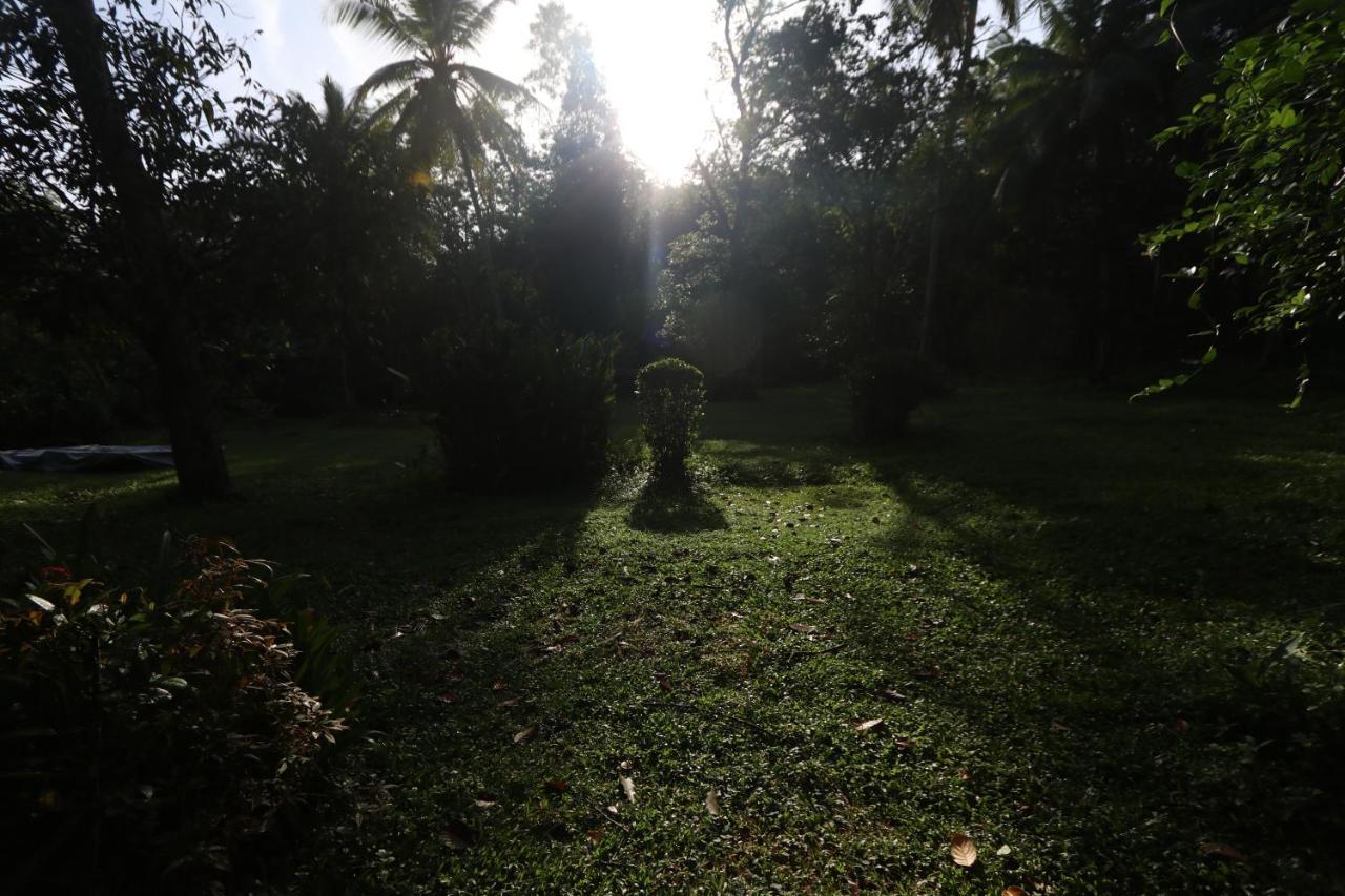 Plantation Villa Kalutara Eksteriør billede