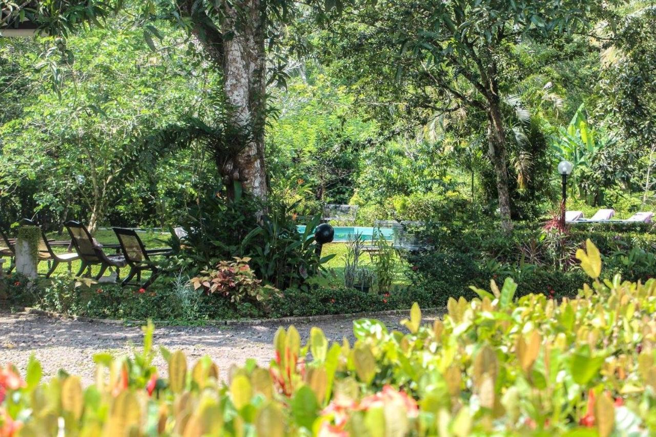 Plantation Villa Kalutara Eksteriør billede